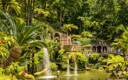 Az örök tavasz szigete: Madeira