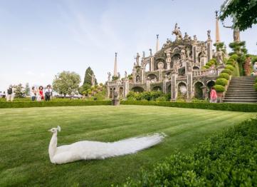 Isola Bella