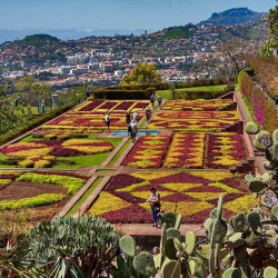 AnicoTravel Madeira 3