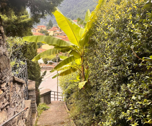LagoMaggiore Aniko 10