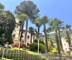 LagoMaggiore Aniko 11